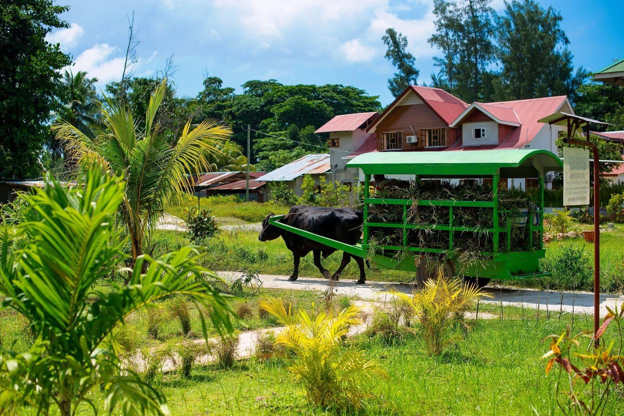 Zerof Self Catering Apartments La Digue Exterior foto